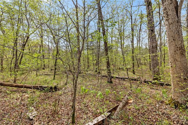Lot 45 Oaks Landing Drive, Eureka Springs, AR 72631