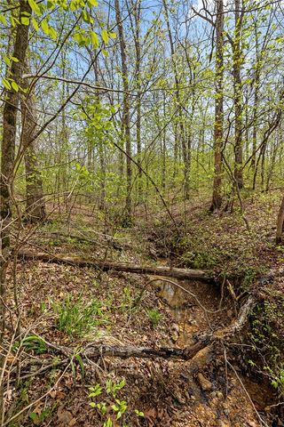 Lot 45 Oaks Landing Drive, Eureka Springs, AR 72631
