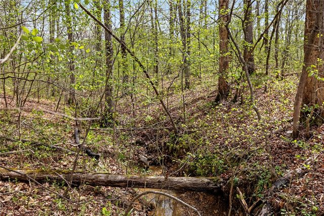 Lot 45 Oaks Landing Drive, Eureka Springs, AR 72631
