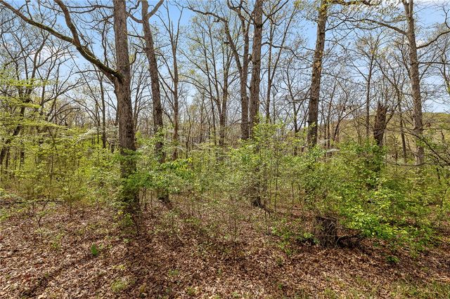 Lot 45 Oaks Landing Drive, Eureka Springs, AR 72631
