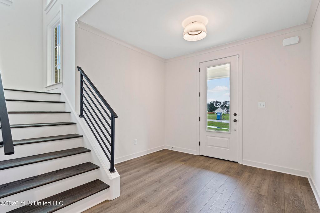 9094 Apple Orchard Cove, Olive Branch, MS 38654 — photo 3