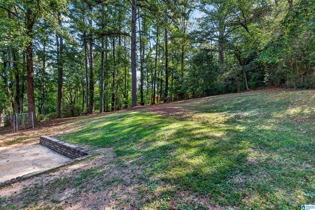 1317 WINOLA LANE, Birmingham, AL 35235