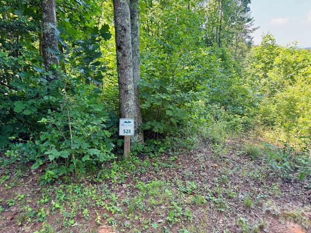 10 acres, Lot 528, Scenic Vista Trail 528, Lenoir, NC 28645