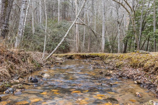 595 Timberlake Road, Blue Ridge, GA 30513