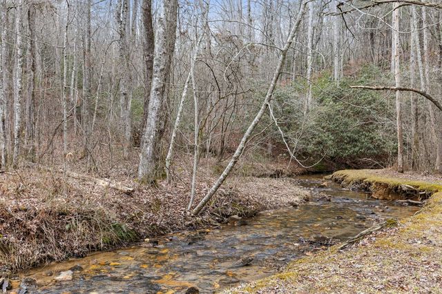 595 Timberlake Road, Blue Ridge, GA 30513