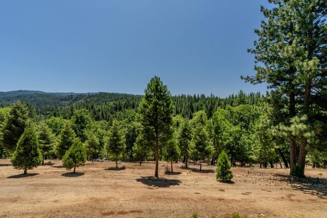 7401 Schaad Rd, Wilseyville, CA 95257