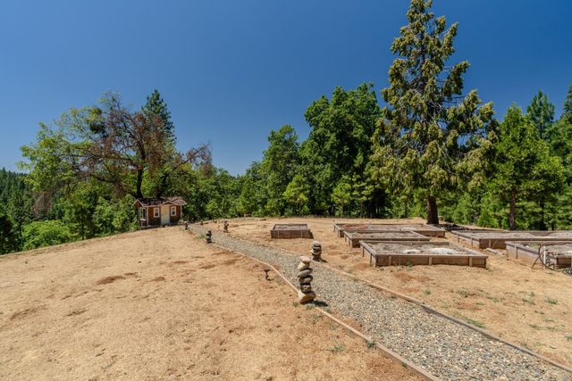 7401 Schaad Rd, Wilseyville, CA 95257