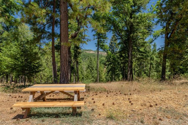 7401 Schaad Rd, Wilseyville, CA 95257