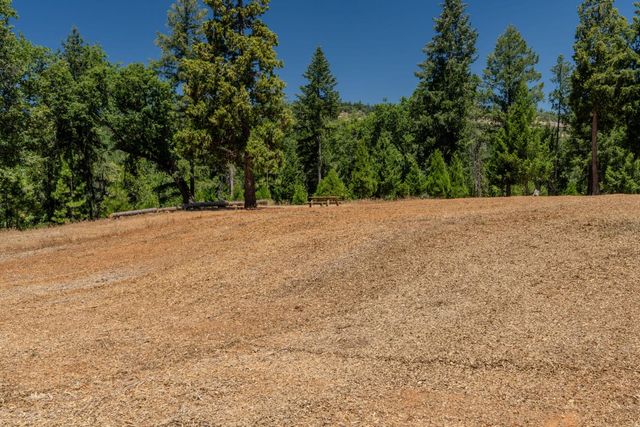 7401 Schaad Rd, Wilseyville, CA 95257