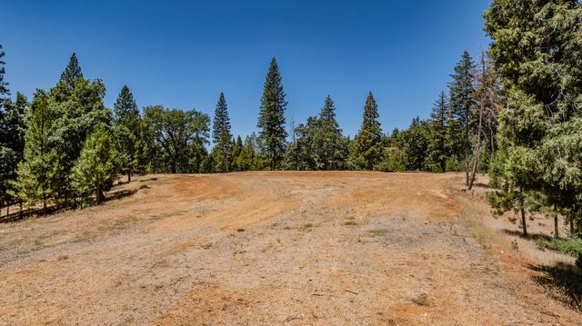 7401 Schaad Rd, Wilseyville, CA 95257