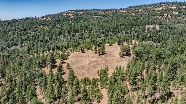 7401 Schaad Rd, Wilseyville, CA 95257