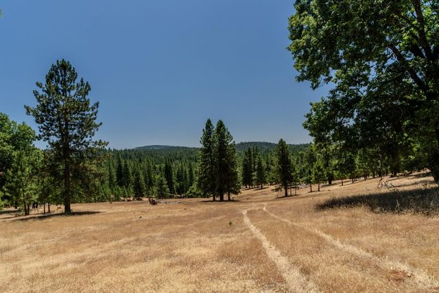 7401 Schaad Rd, Wilseyville, CA 95257