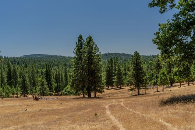 7401 Schaad Rd, Wilseyville, CA 95257