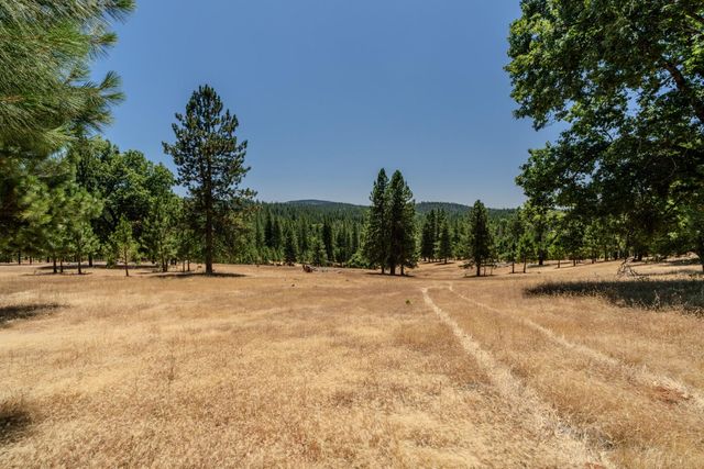 7401 Schaad Rd, Wilseyville, CA 95257