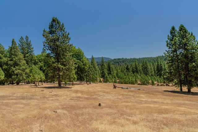 7401 Schaad Rd, Wilseyville, CA 95257