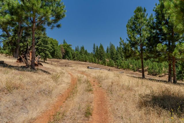 7401 Schaad Rd, Wilseyville, CA 95257