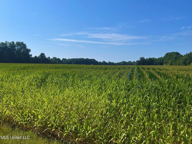 County Road 51, Eupora, MS 39744