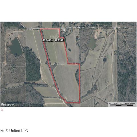 County Road 51, Eupora, MS 39744