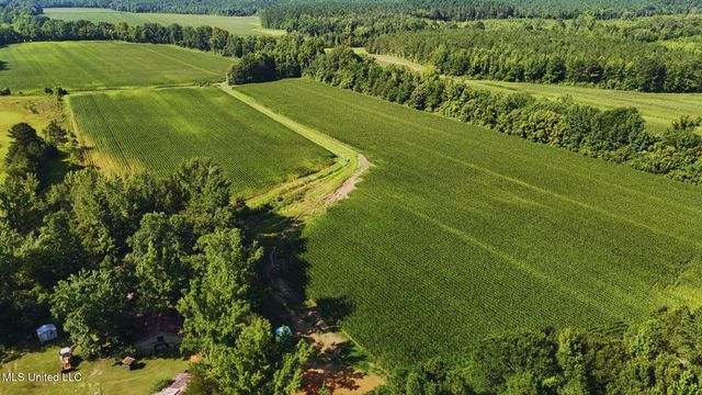 County Road 51, Eupora, MS 39744
