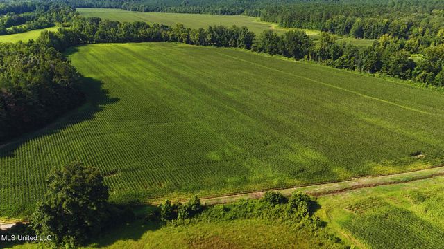 County Road 51, Eupora, MS 39744