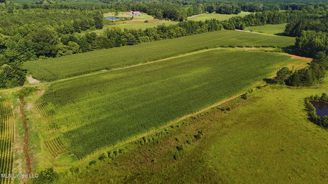 County Road 51, Eupora, MS 39744