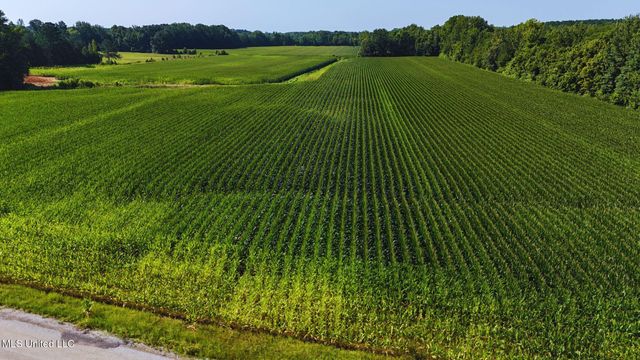 County Road 51, Eupora, MS 39744