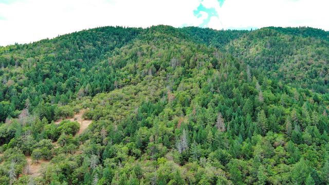 685 Jacksonville Res Road, Jacksonville, OR 97530