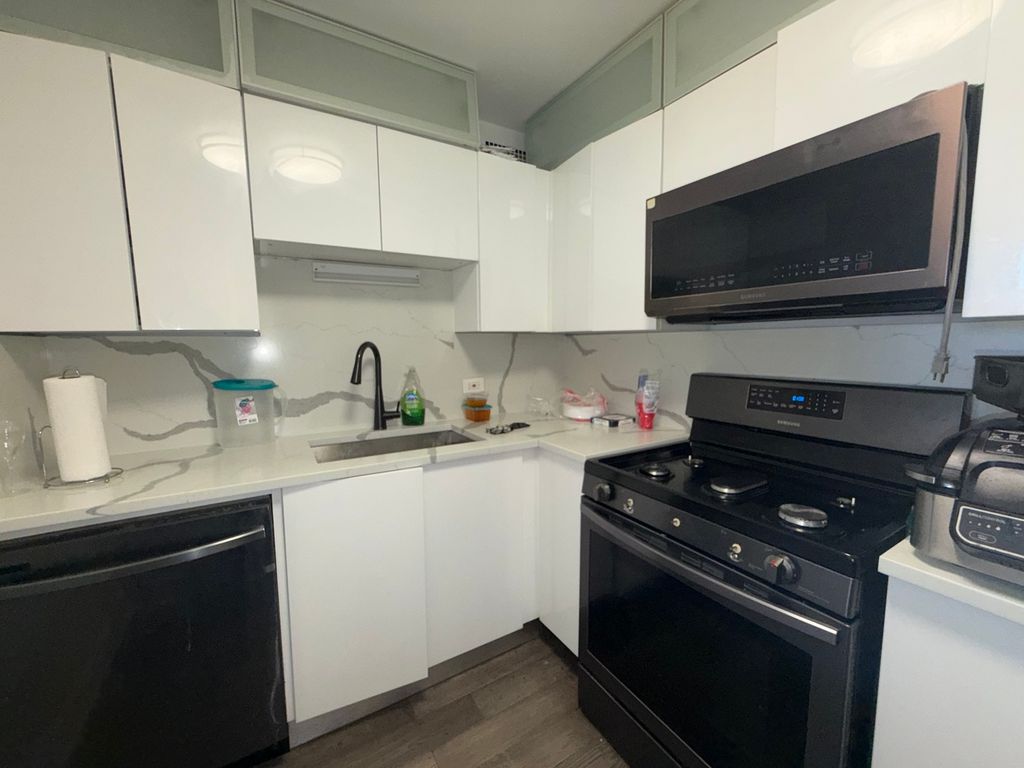 2901 S Michigan Avenue 308, Chicago, IL 60616 — photo 4