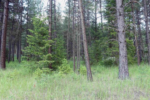 3733 C Sand Creek Rd, Kettle Falls, WA 99141