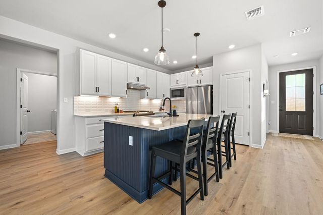 166 Twistleaf DR, Buda, TX 78610
