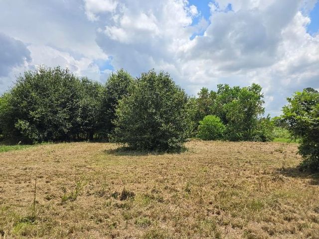 20736 Pearl Street, Prairie View, TX 77484