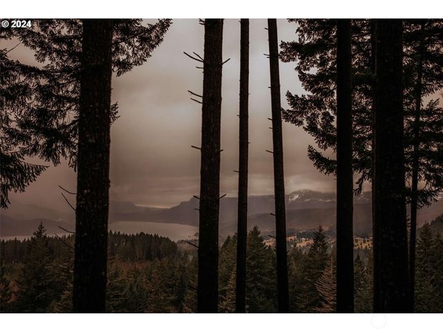 162 Bylin Road, Stevenson, WA 98648