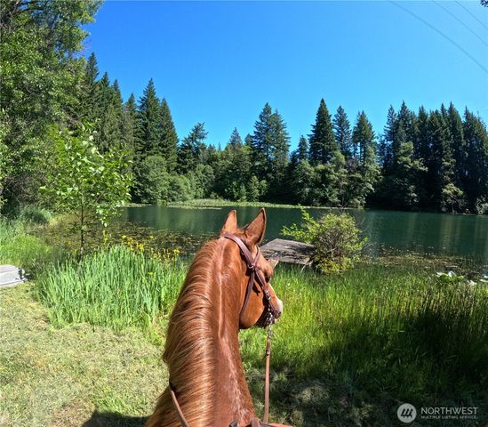 162 Bylin Road, Stevenson, WA 98648