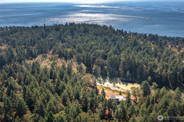 96 Pleasant Pond Lane, Friday Harbor, WA 98250