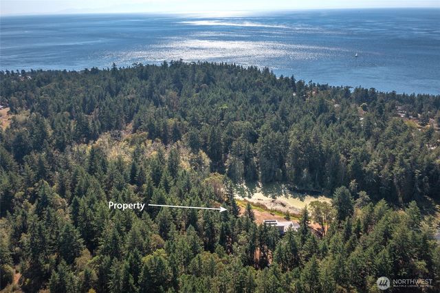 96 Pleasant Pond Lane, Friday Harbor, WA 98250