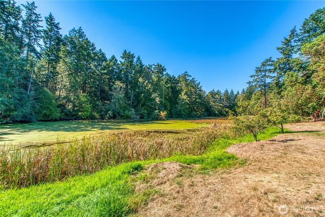 96 Pleasant Pond Lane, Friday Harbor, WA 98250