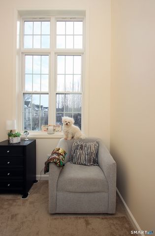 304 Sienna Drive 304, Danbury, CT 06810