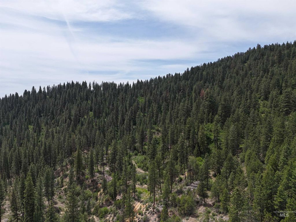 TBD 39.64 Manning Ln, Idaho City, ID 83631 photo 10