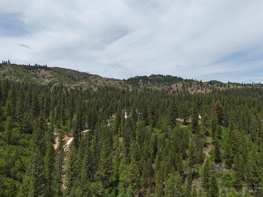 TBD 39.64 Manning Ln, Idaho City, ID 83631 photo 11