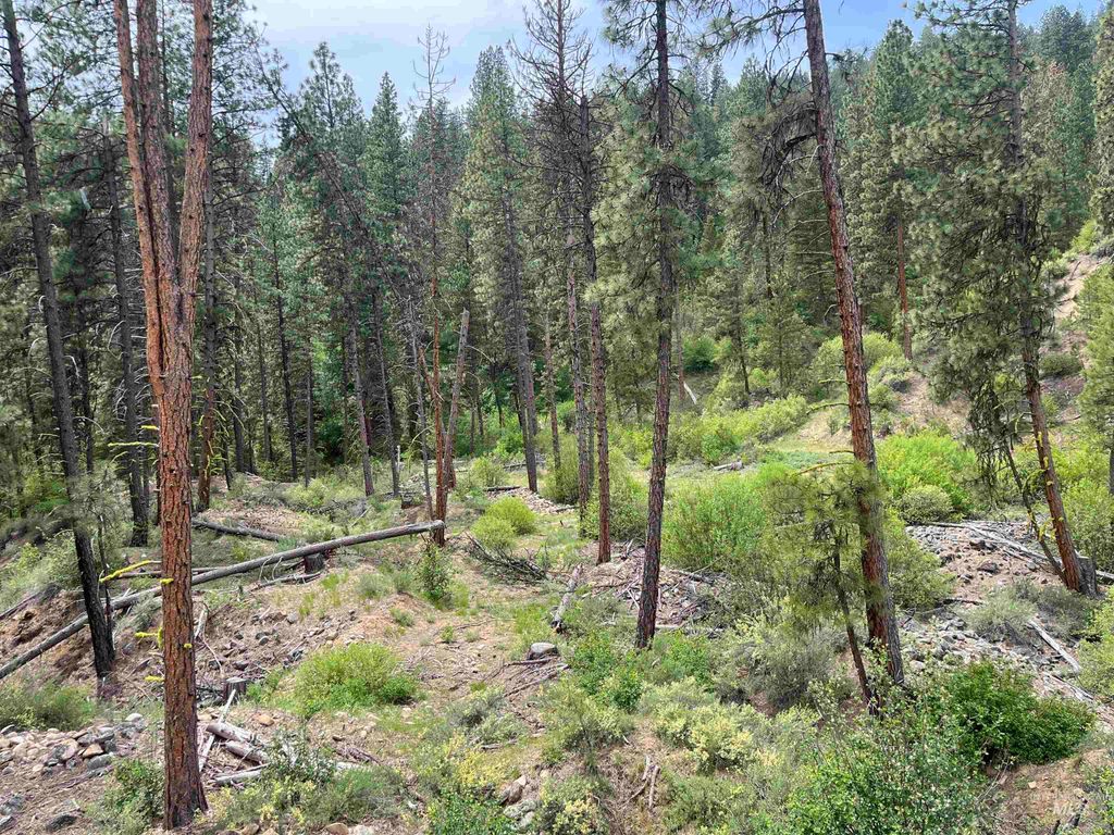 TBD 39.64 Manning Ln, Idaho City, ID 83631 photo 14