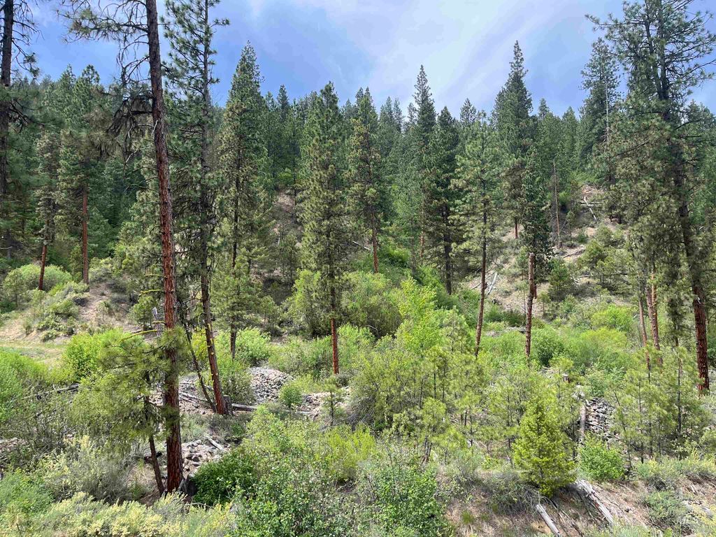 TBD 39.64 Manning Ln, Idaho City, ID 83631 photo 16
