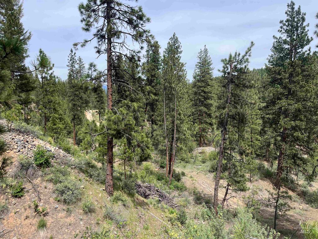 TBD 39.64 Manning Ln, Idaho City, ID 83631 photo 18