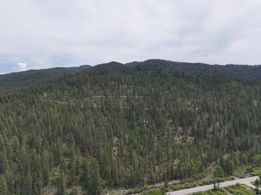 TBD 39.64 Manning Ln, Idaho City, ID 83631 photo 2