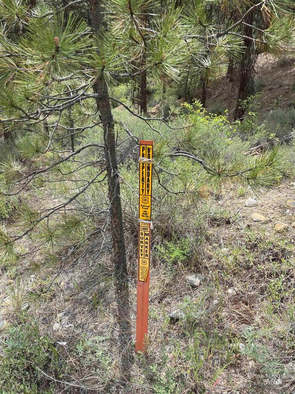 TBD 39.64 Manning Ln, Idaho City, ID 83631 photo 20