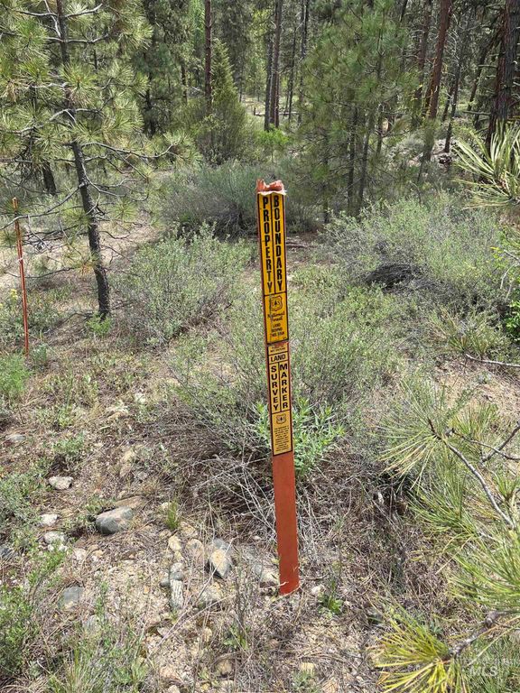 TBD 39.64 Manning Ln, Idaho City, ID 83631 photo 22