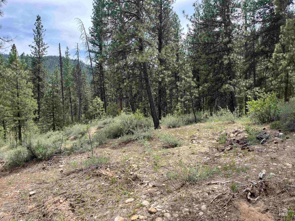 TBD 39.64 Manning Ln, Idaho City, ID 83631 photo 23