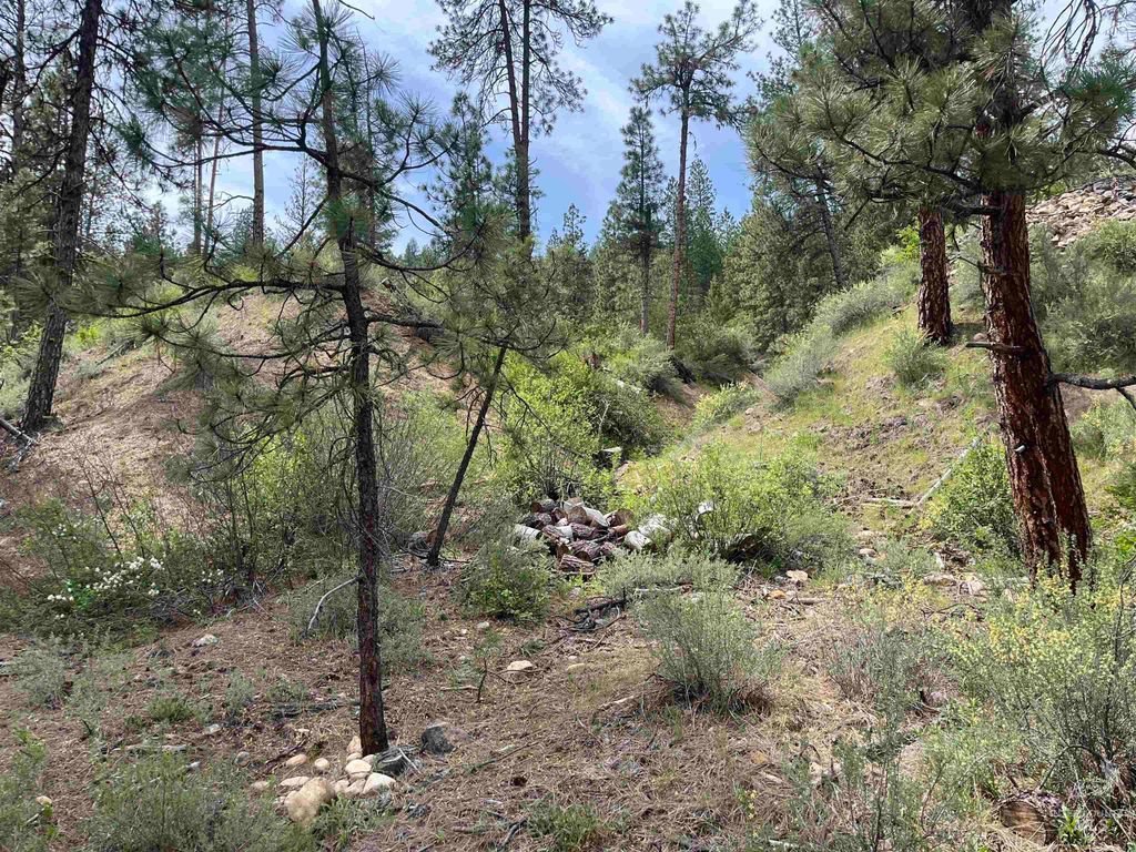 TBD 39.64 Manning Ln, Idaho City, ID 83631 photo 24