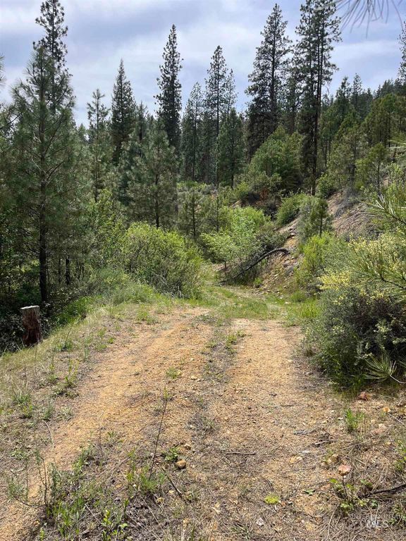 TBD 39.64 Manning Ln, Idaho City, ID 83631 photo 26