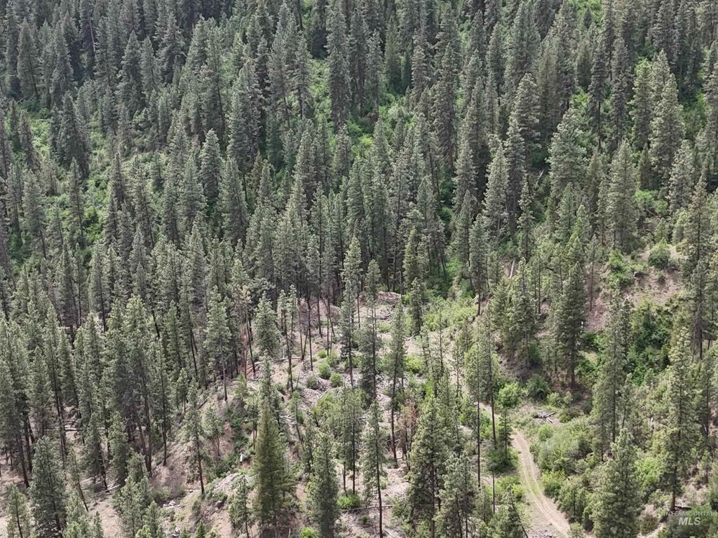 TBD 39.64 Manning Ln, Idaho City, ID 83631 photo 4