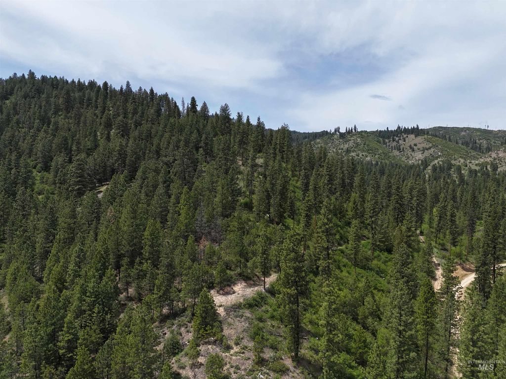 TBD 39.64 Manning Ln, Idaho City, ID 83631 photo 6